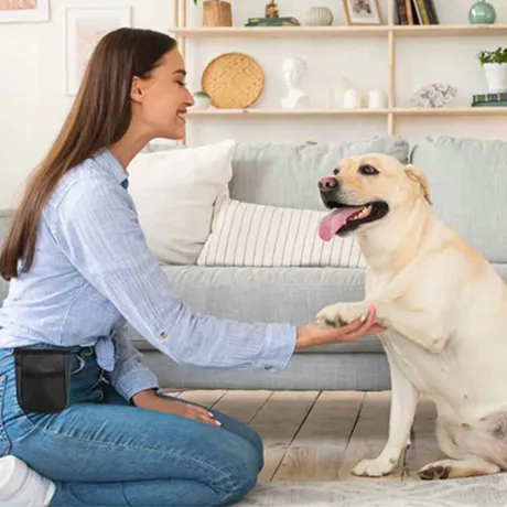 Saszetka na przysmaki dla psa treserka 19336