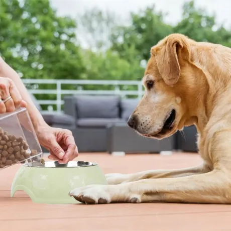 Miska dla psa kota na karmę wodę metalowa 1200ml 19400