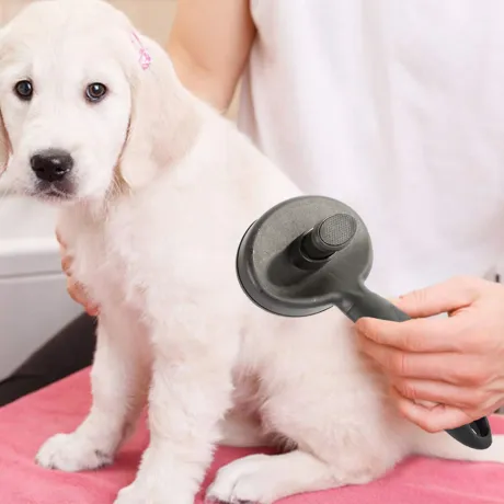 Szczotka dla psa kota do usuwania sierści trymer 19449