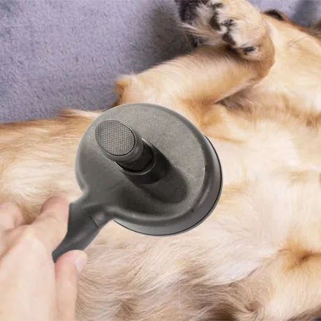 Szczotka dla psa kota do usuwania sierści trymer 19449