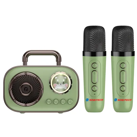Mikrofon dla dzieci zestaw karaoke dwa mikrofony P3-Z zielony